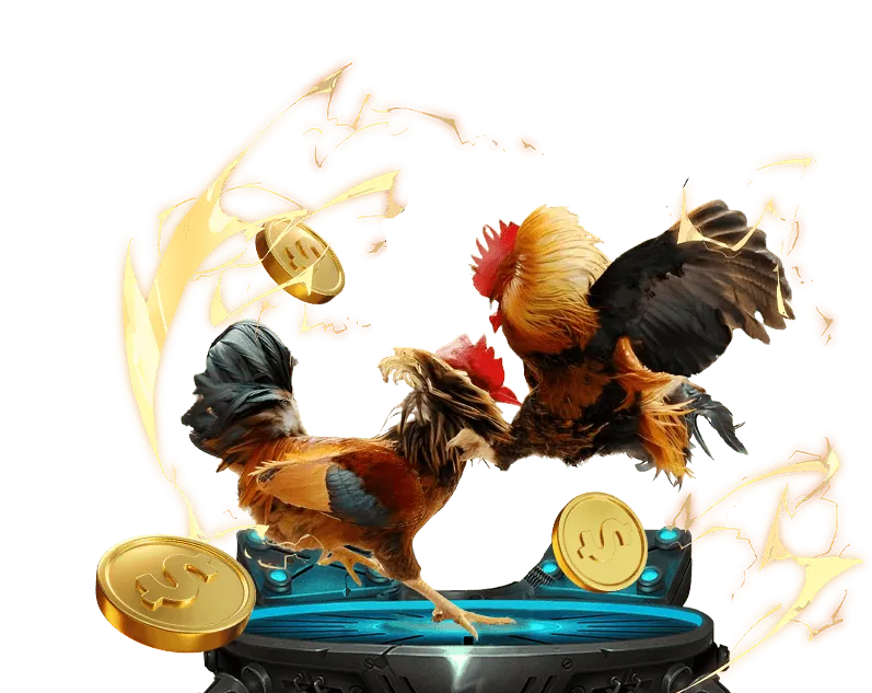 Các loại kèo cược đá gà tại fv99 game